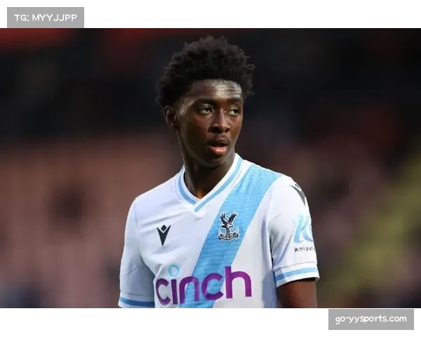 水晶宫老将沃德谈生涯末期:现在的比赛节奏比十年前快了不止一个档次 水晶宫老将沃德谈生涯末期:现在的比赛节奏比十年前快了不止一个档次